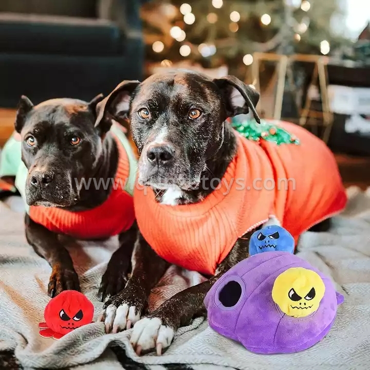 Head825e3b23d4c80b374683181958ea2C