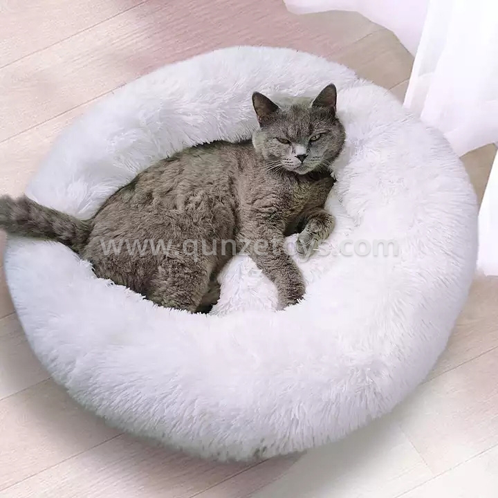 H670e088a32484ba3bffe17ed16316473r