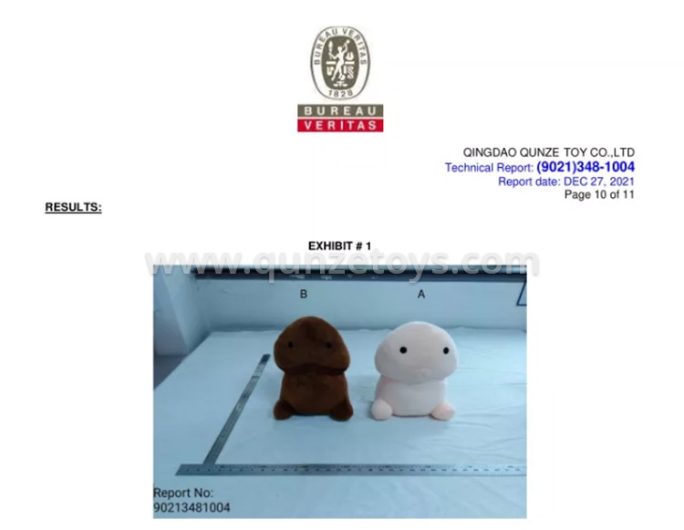 Cushion & Pillows Cushion & Pillows